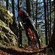 DSC02194-ck