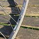 IMG 5291