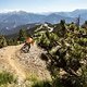 Rider: Paul Freude / Location: Commencal Line, Bikepark Vallnord, Andorra