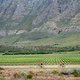 Riders on stage 4 of the 2021 Absa Cape Epic Mountain Bike stage race from Saronsberg in Tulbagh to CPUT in Wellington, South Africa on the 21th October 2021

Photo by Kelvin Trautman/Cape Epic

PLEASE ENSURE THE APPROPRIATE CREDIT IS GIVEN TO THE PH