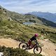 IMG 4593