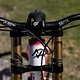 MTBNews