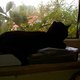 IMG-20140428-WA0005