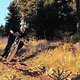 IMG 0049