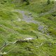 Hetzjagd auf den letzten Kurven von Stage 6