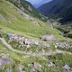 Versteckte Wege im Piemont