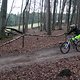 IMG 1301