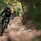 specialized-stumpjumper-action-5310