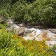 IMG 9832