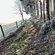 Winterpokal-Aktivität