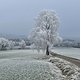 Winterpokal-Aktivität