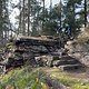 IMG 4893