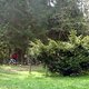P1050072k