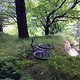 IMG996