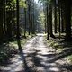 Teutoburger Wald