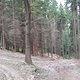 7.WolangjetztEt2