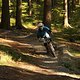 Braunlage Süd DH