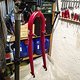 IMG 2037