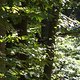 DSC02913