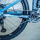 An Bord ist auch der neue Shimano XTR-Antrieb