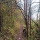 Trail am Weigoldsberg