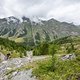 Von der Alp geht es durch einen wunderschönen Trail hinab ins Tal.