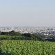 REHAWien (31)