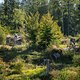 20240922-03 Olbrzymy - Czart