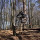 Bike Beerfelden P 264