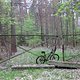IMG 3450