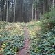 0026 Harz-Trail