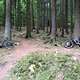 Taunus