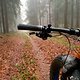 Nebel
