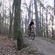IMG 1395