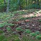 DSC02959