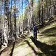 TransVerdon2016 (69)