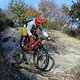 DSC05961-ck