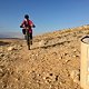 Israeli Bike Route in der Negev