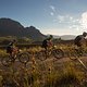 Riders climb out of Stellenbosch during stage 6 of the 2019 Absa Cape Epic Mountain Bike stage race from the University of Stellenbosch Sports Fields in Stellenbosch, South Africa on the 23rd March 2019

Photo by Dwayne Senior/Cape Epic

PLEASE E