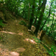 Gaisberg Trail