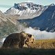 Im November soll man in Arosa/Lenzerheide besonders gut Bären beobachten können, die sich auf den Winter vorbereiten.