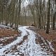 Winterpokal-Aktivität