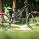 Das Santa Cruz V10 von Davide Palazzari aus dem Rogue Racing Team