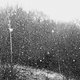Snow ! ♥