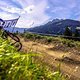 Downhill WM Leogang