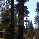 IMG 0657