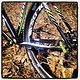Reynolds 29er Carbon, Cannondale SL Hollowgram, Avid Elixir X.0 grün
