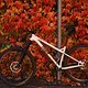 Herbstfarben 4