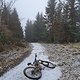 Morgenausfahrt