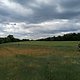 IMG 20250516 163155